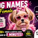 Dog Names of Female