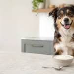 Can Dogs Eat Yogurt