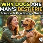 Why Dogs Are Human’s Best Friend