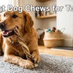 Best Dog Chews for Teeth