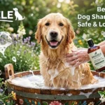 Best Smelling Dog Shampoo