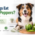Can Dogs Eat Green Peppers
