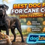 Best Dog Food for Cane Corso