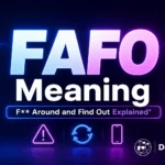FAFO Meaning