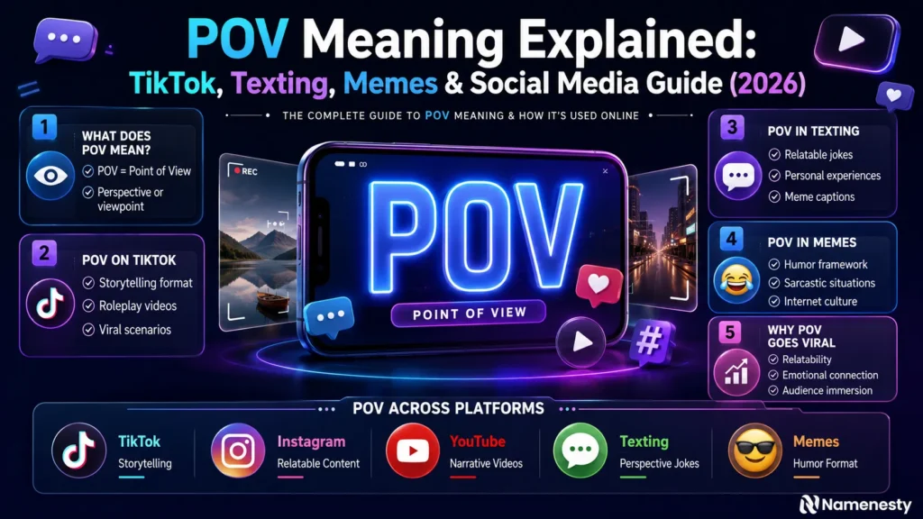 POV-meaning