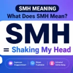 smh-meaning