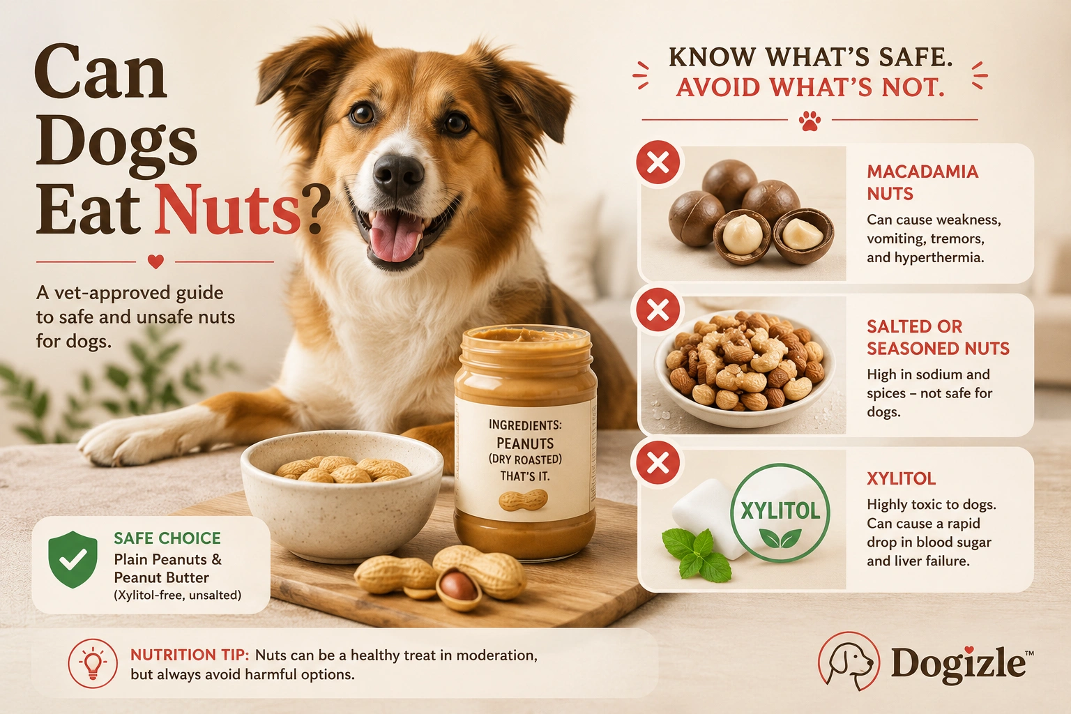 Can Dogs Eat Nuts?