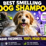 Best Smelling Dog Shampoo