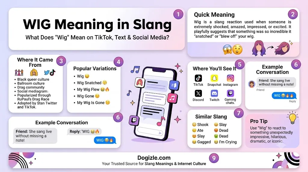 WIG meaning in slang