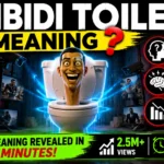 Skibidi Toilet Meaning