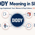 Diddy Meaning in Slang