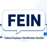 FEIN meaning