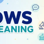 DWS Meaning