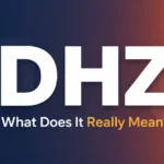 DHZ Meaning in Text