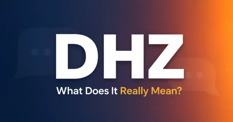 DHZ Meaning in Text