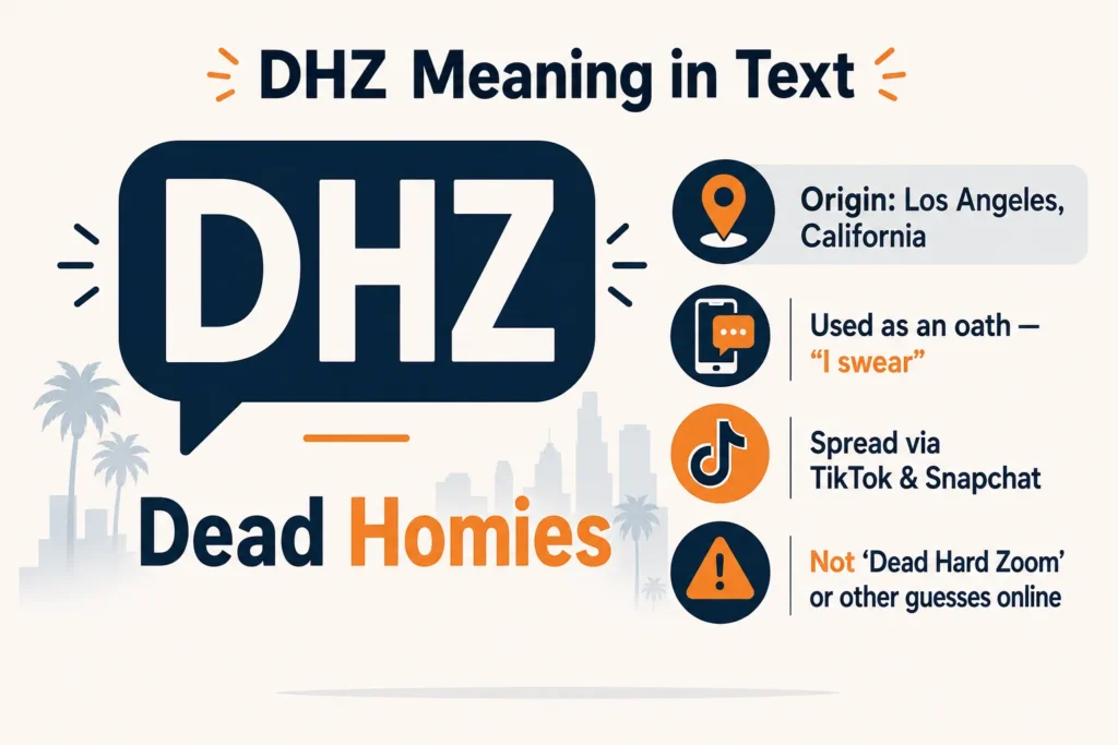DHZ Meaning in Text