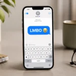 LMBO Meaning in Text
