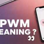 DPWM Meaning