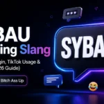 SYBAU meaning slang