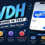 WDH Meaning in Text