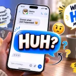 HUH Meaning in Text