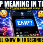 EMP Meaning in Text