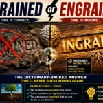 Ingrained or Engrained